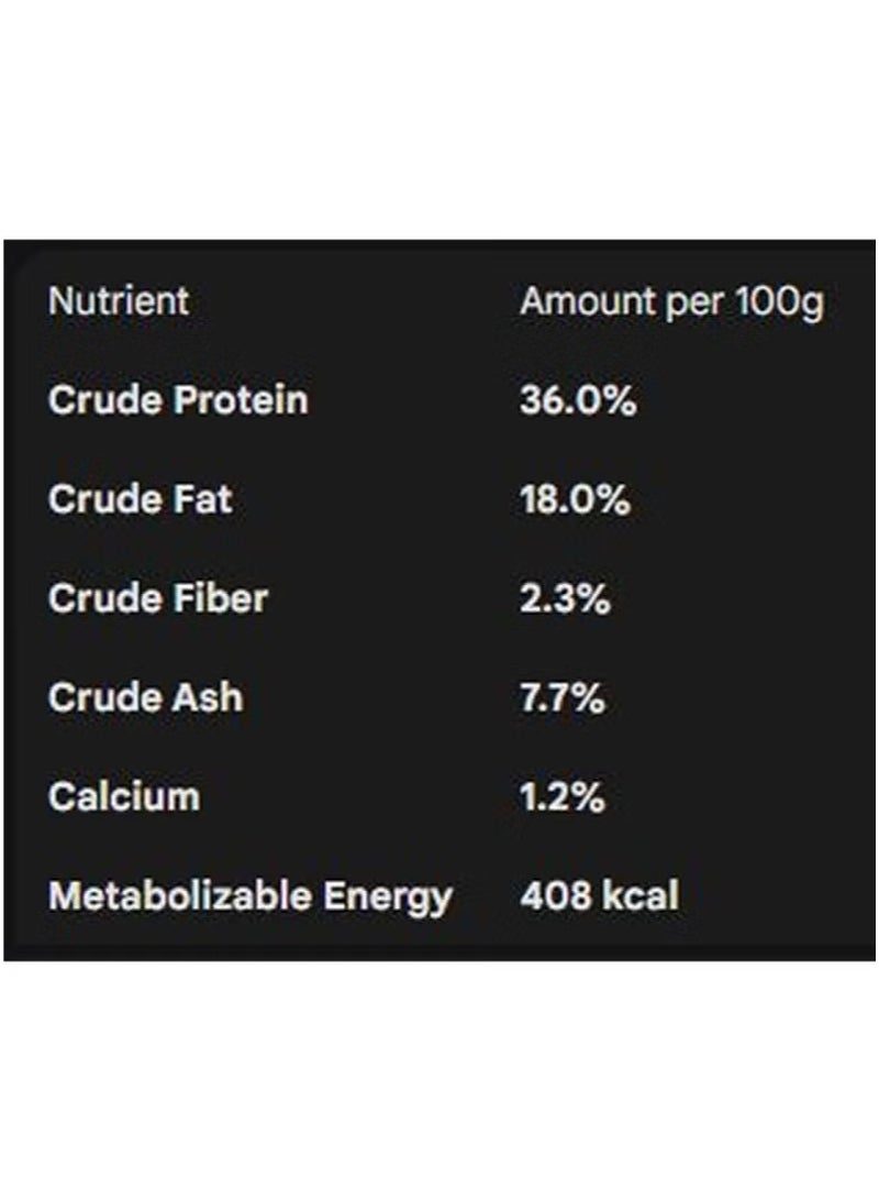 ROYAL CANIN Feline Health Nutrition Kitten 2kg - Image 3